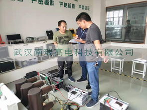 深化技術合作，共創(chuàng)未來價值——客戶來訪我司技術交流紀實