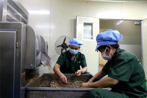 李茂濤深入重點工業企業走訪調研，聚焦技術交流與創新發展